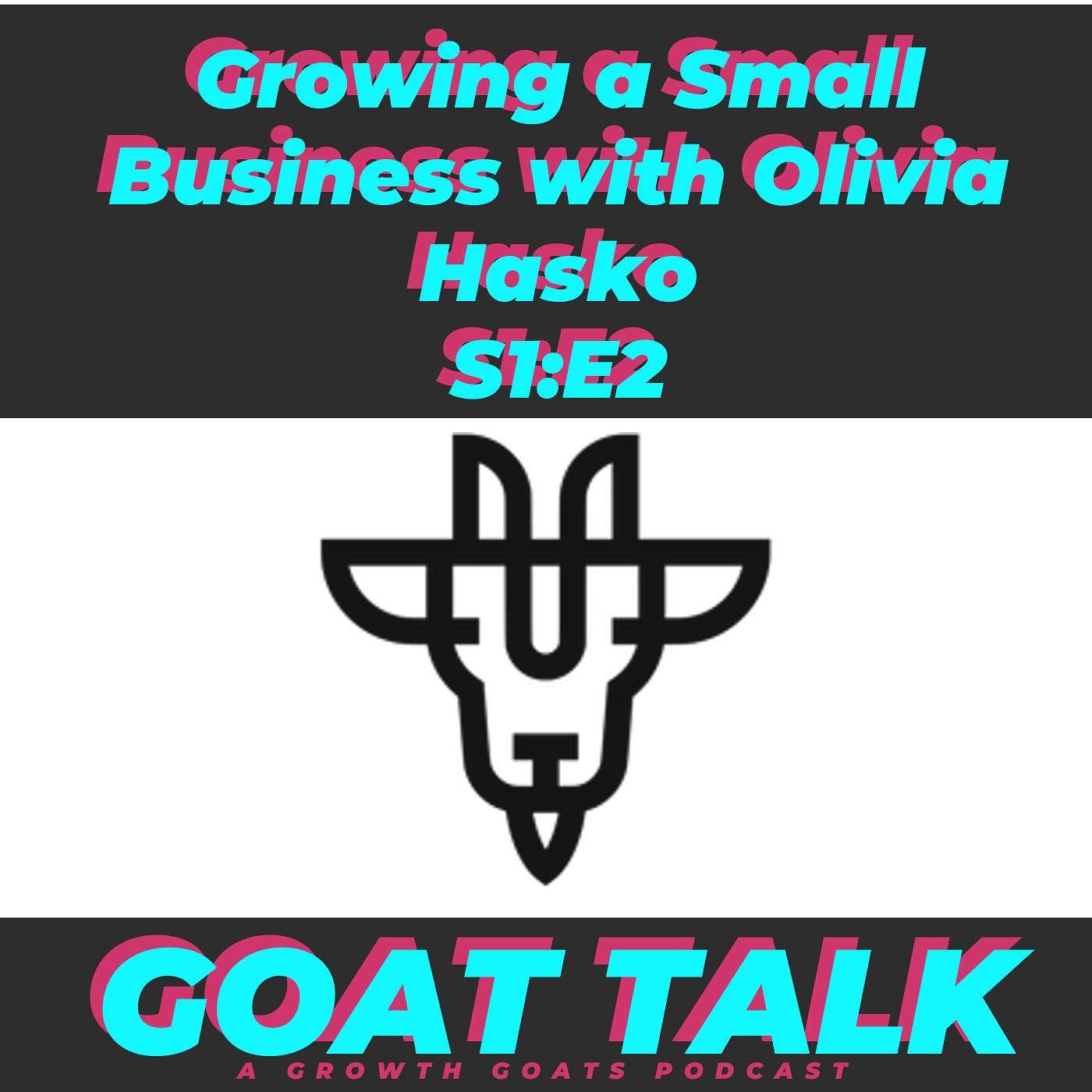 Growing a Small Business with Special Guest Olivia Hasko